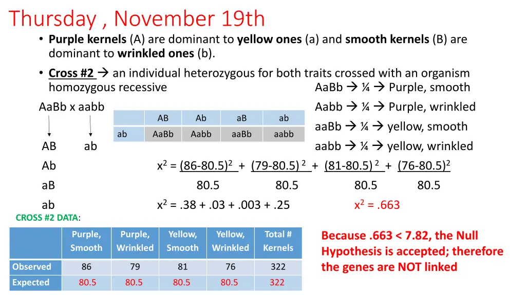 thursday november 19th purple kernels 2