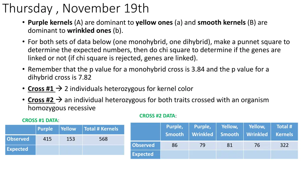 thursday november 19th purple kernels