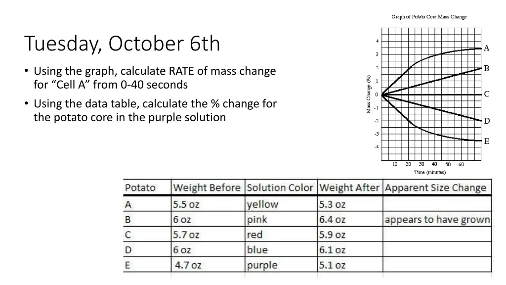 tuesday october 6th
