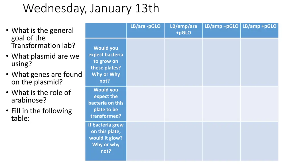 wednesday january 13th