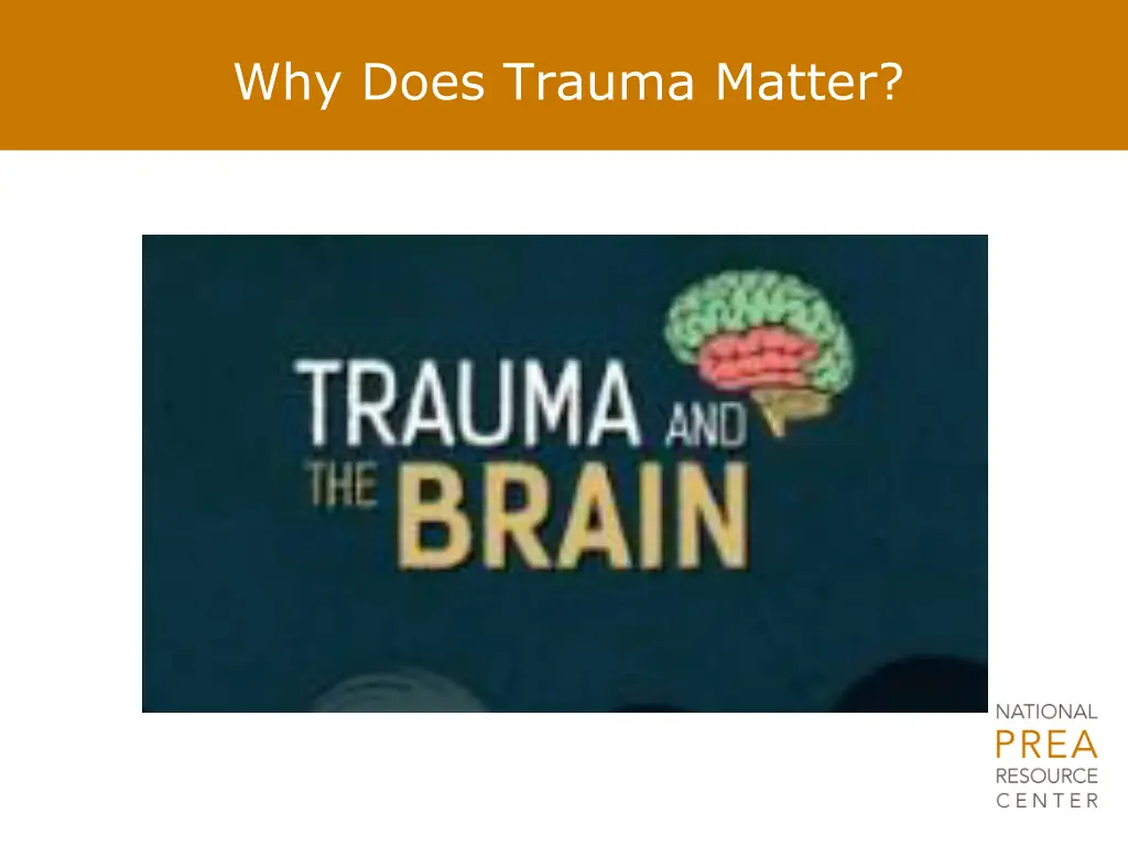 why does trauma matter 1