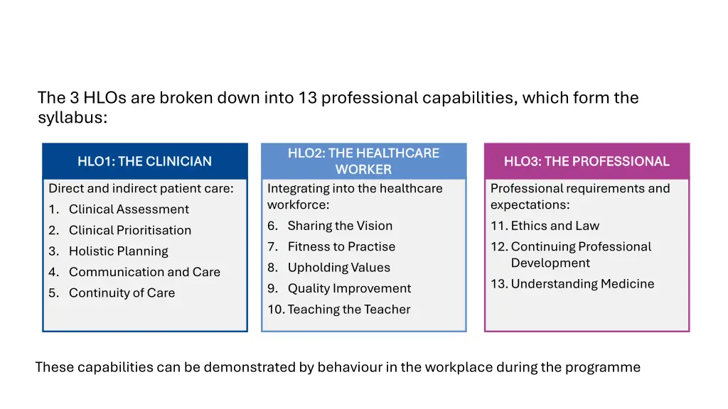 thirteen professional capabilities thirteen