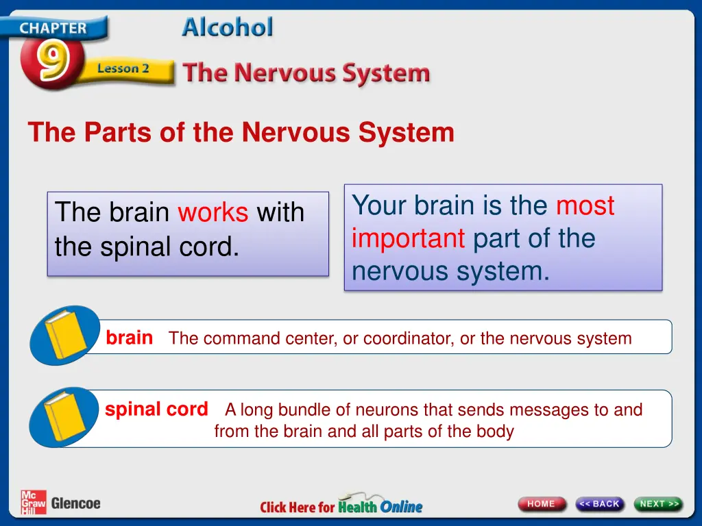 the parts of the nervous system 1