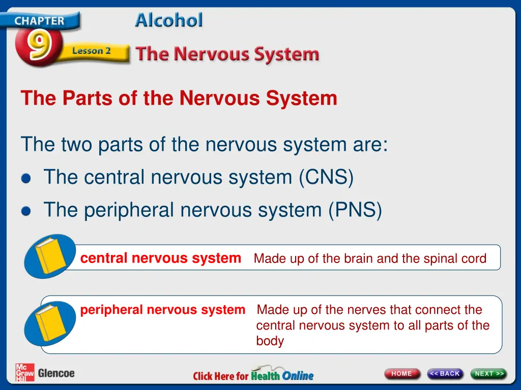 the parts of the nervous system