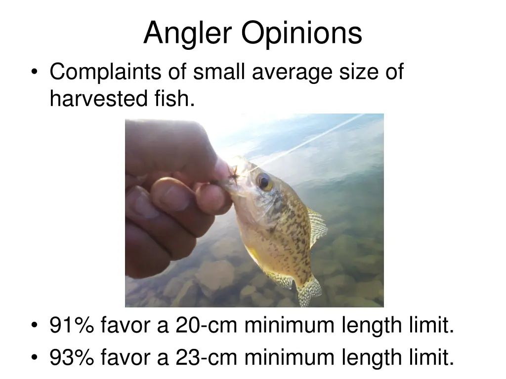 angler opinions