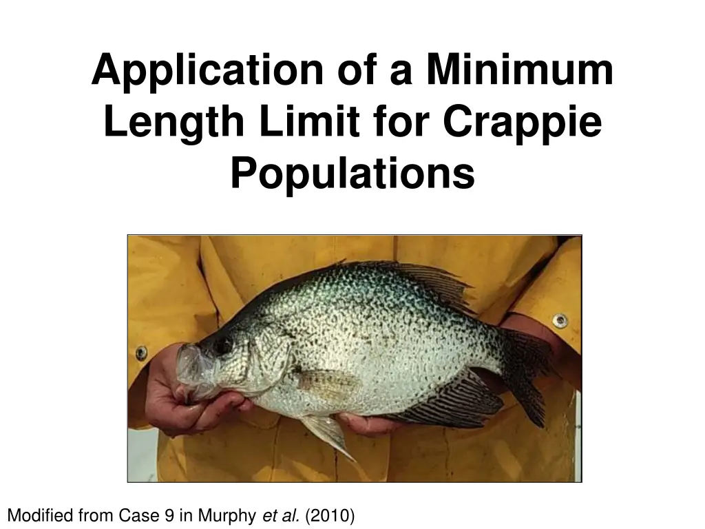 application of a minimum length limit for crappie