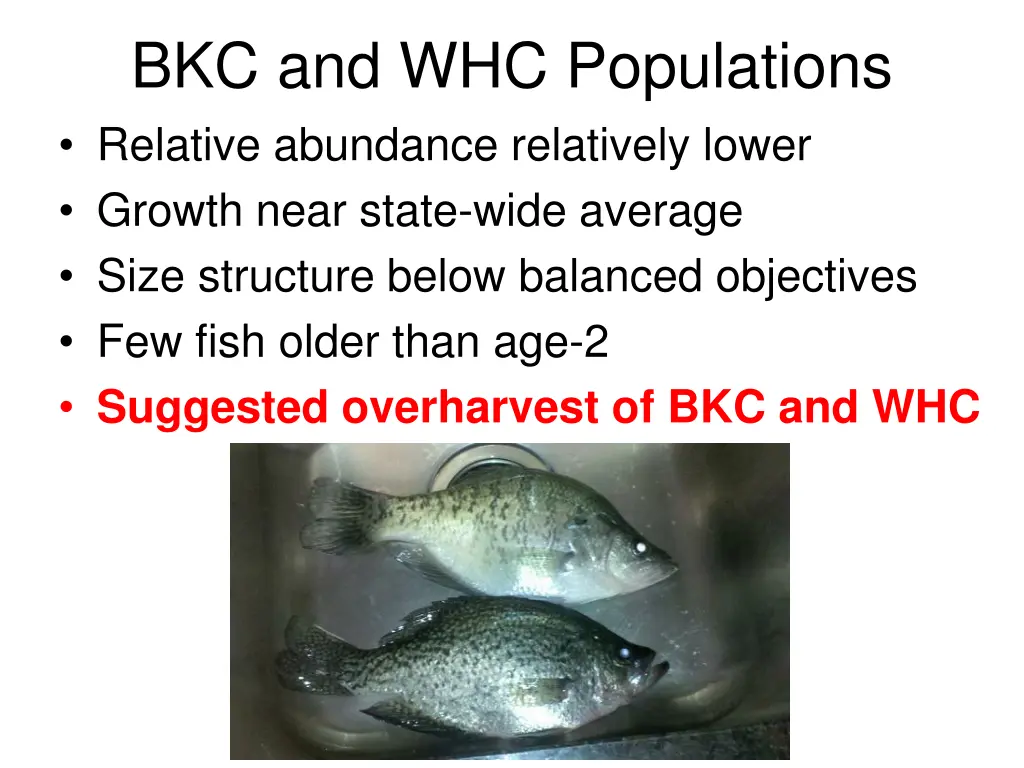 bkc and whc populations relative abundance