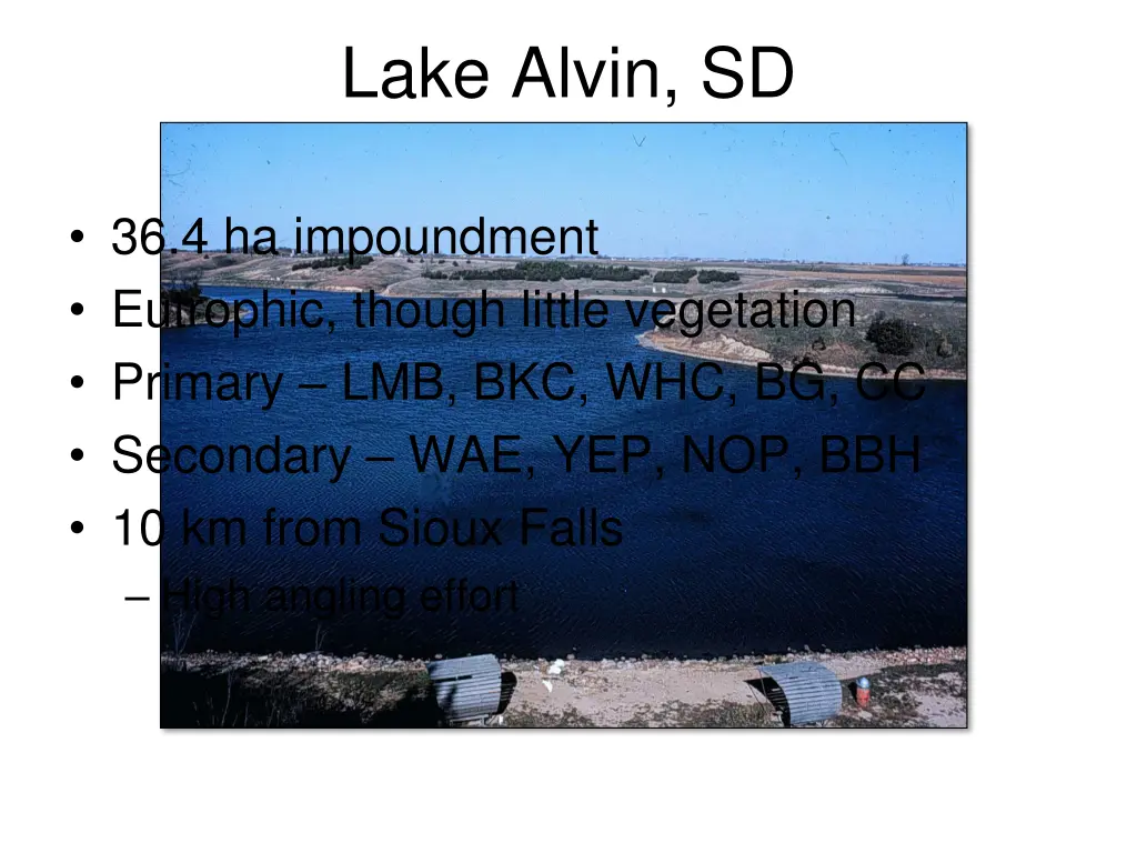 lake alvin sd