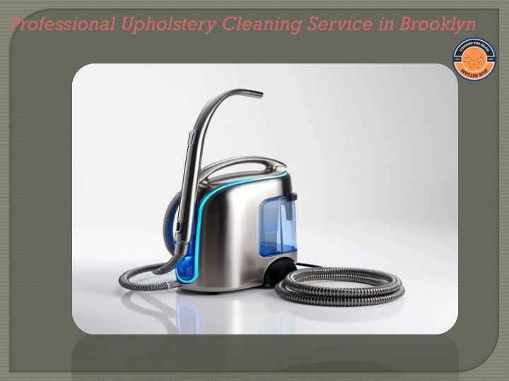 professional upholstery cleaning service