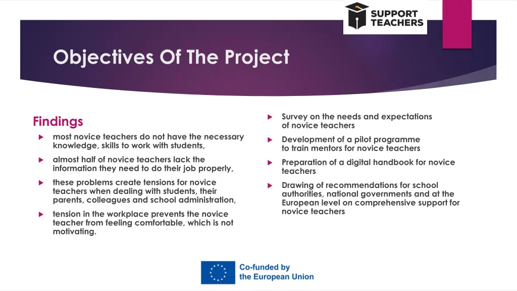 objectives of the project