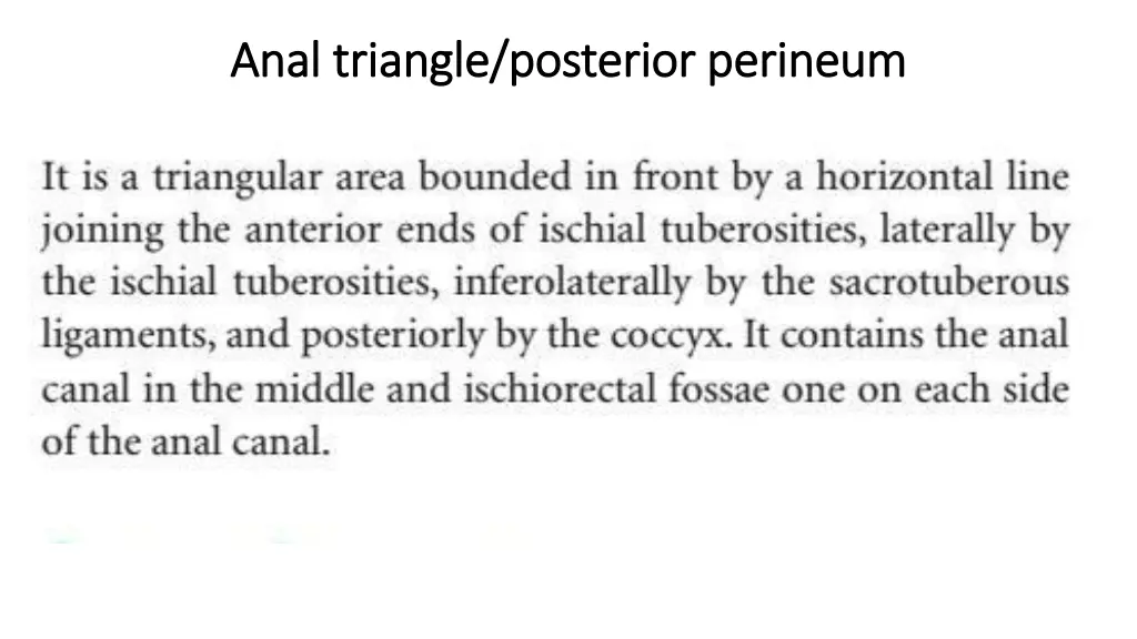 anal triangle posterior perineum anal triangle