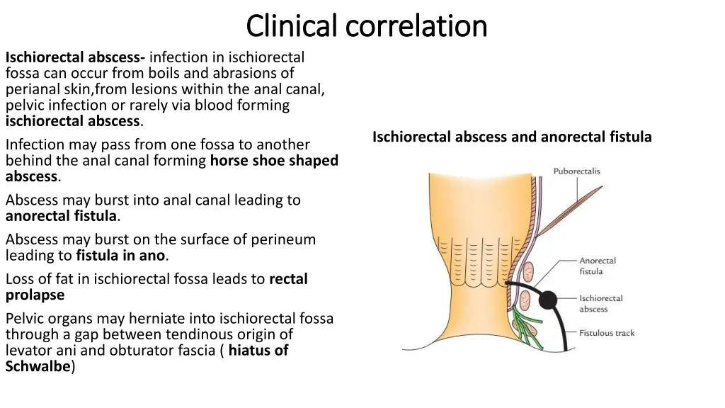 clinical correlation clinical correlation