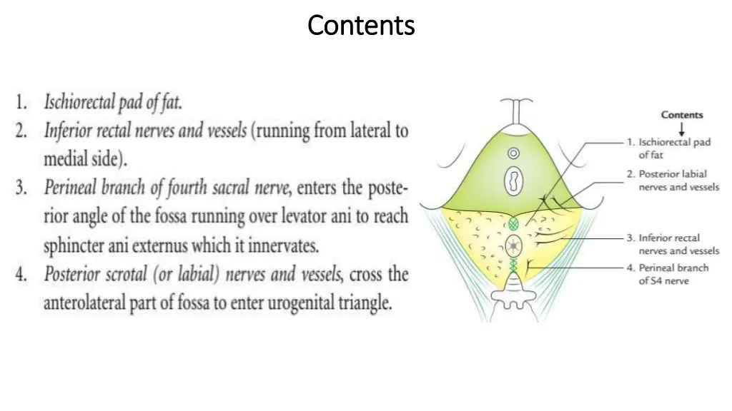 contents contents