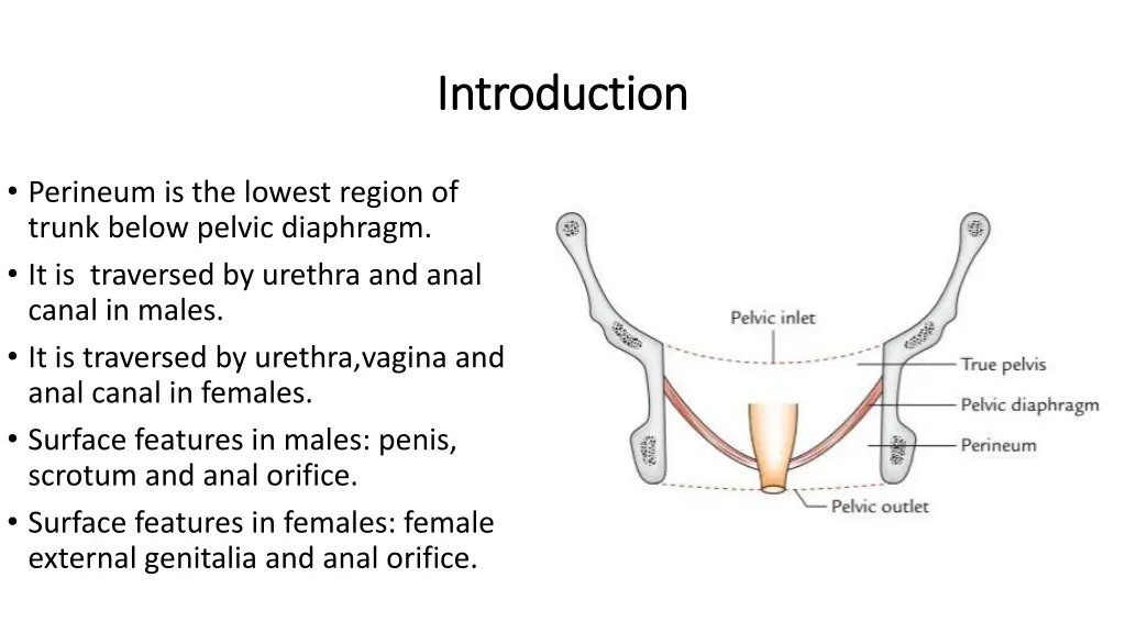 introduction introduction