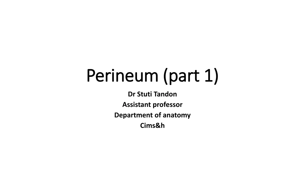 perineum part 1 perineum part 1