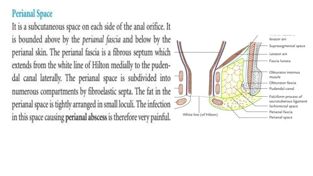 slide14