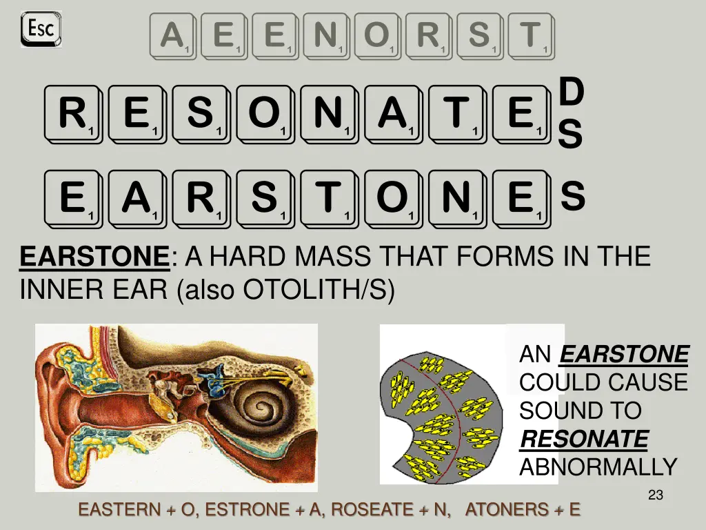 aeenorst resonate earstone earstone a hard mass