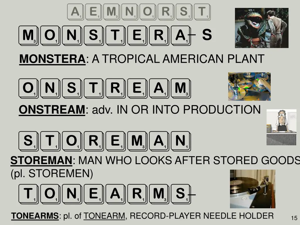 aemnorst monstera