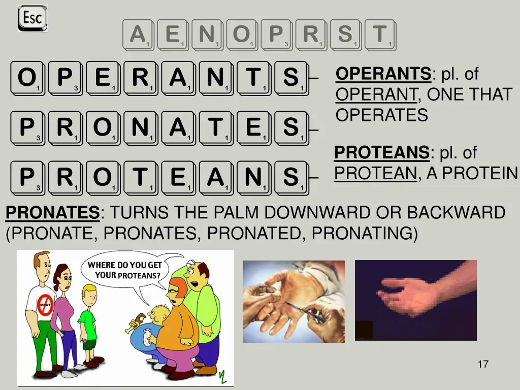 aenoprst operants pronates proteans pronates