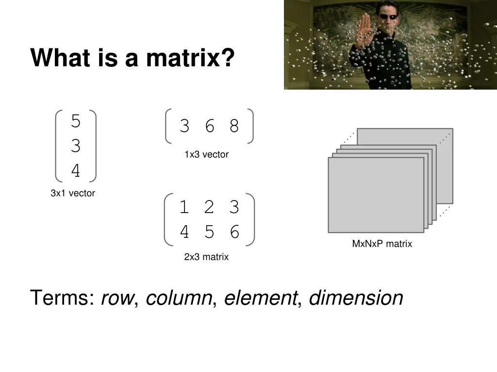 what is a matrix