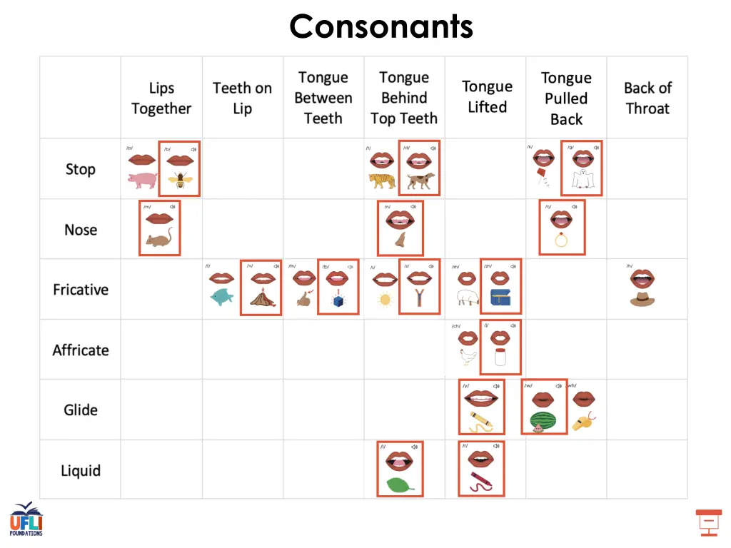 consonants 3