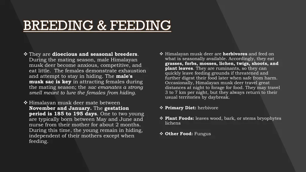 breeding feeding
