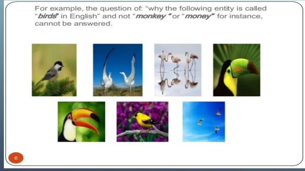 slide13