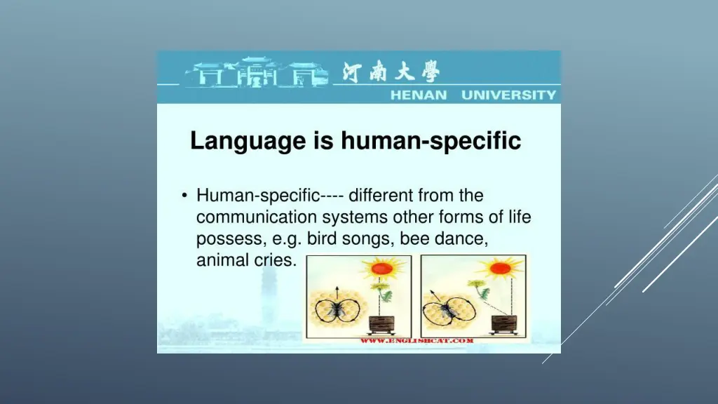 slide23