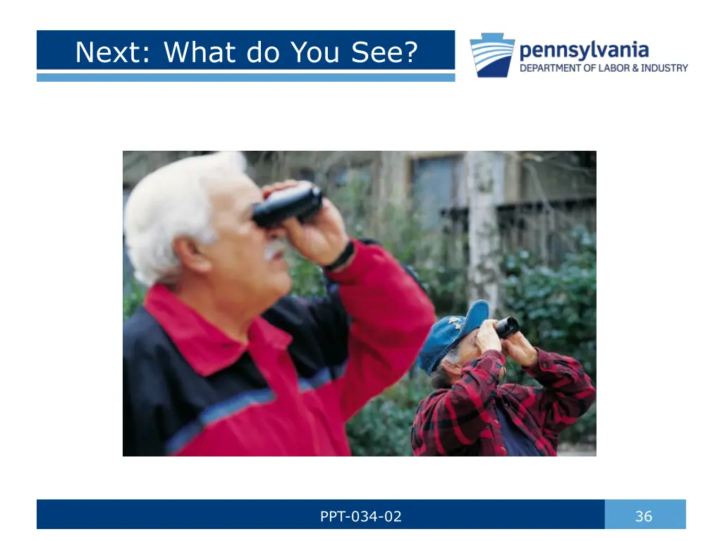 next what do you see