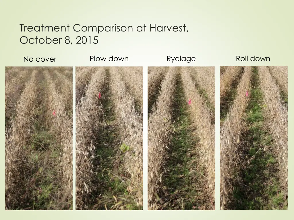 treatment comparison at harvest october 8 2015