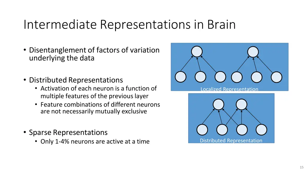 intermediate representations in brain