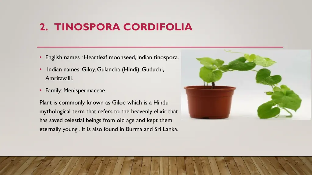 2 tinospora cordifolia