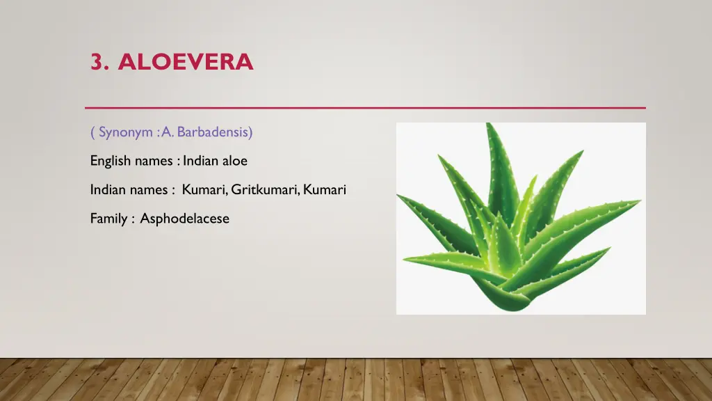 3 aloevera