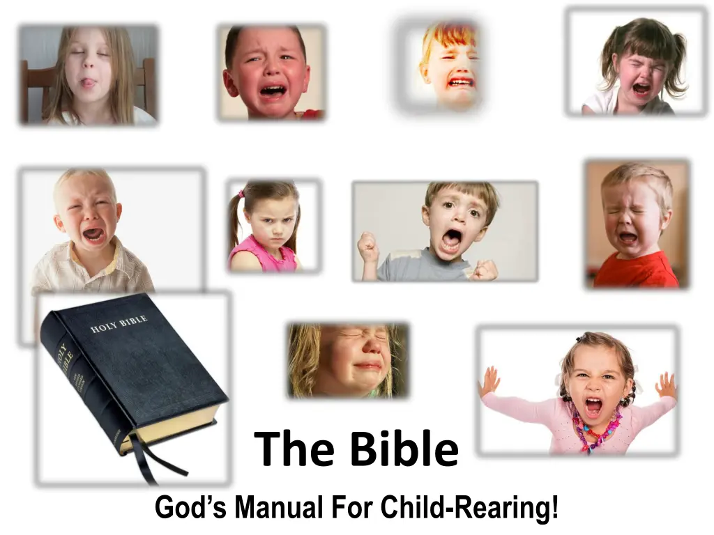 the bible
