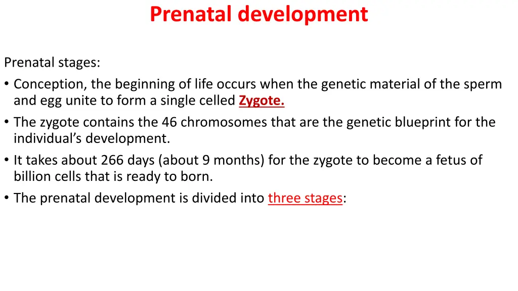 prenatal development