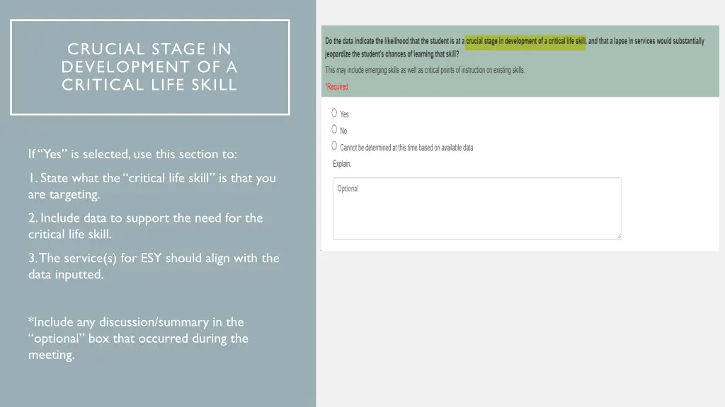 crucial stage in development of a critical life