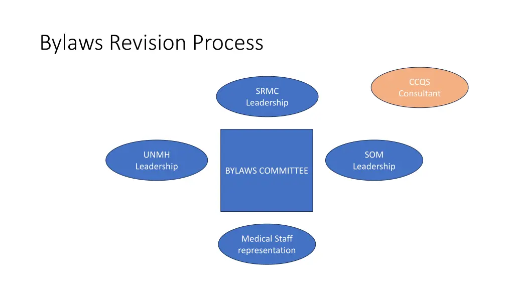 bylaws revision process