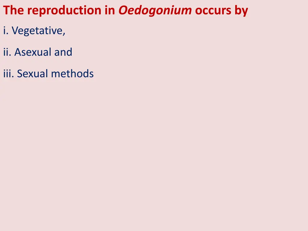 the reproduction in oedogonium occurs by