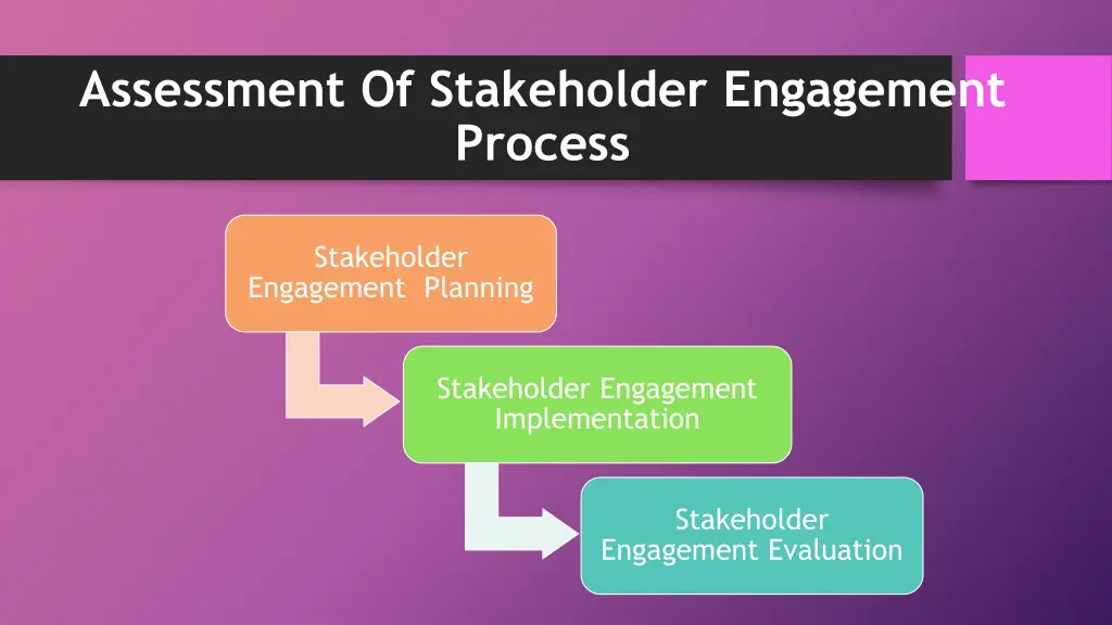 assessment of stakeholder engagement process