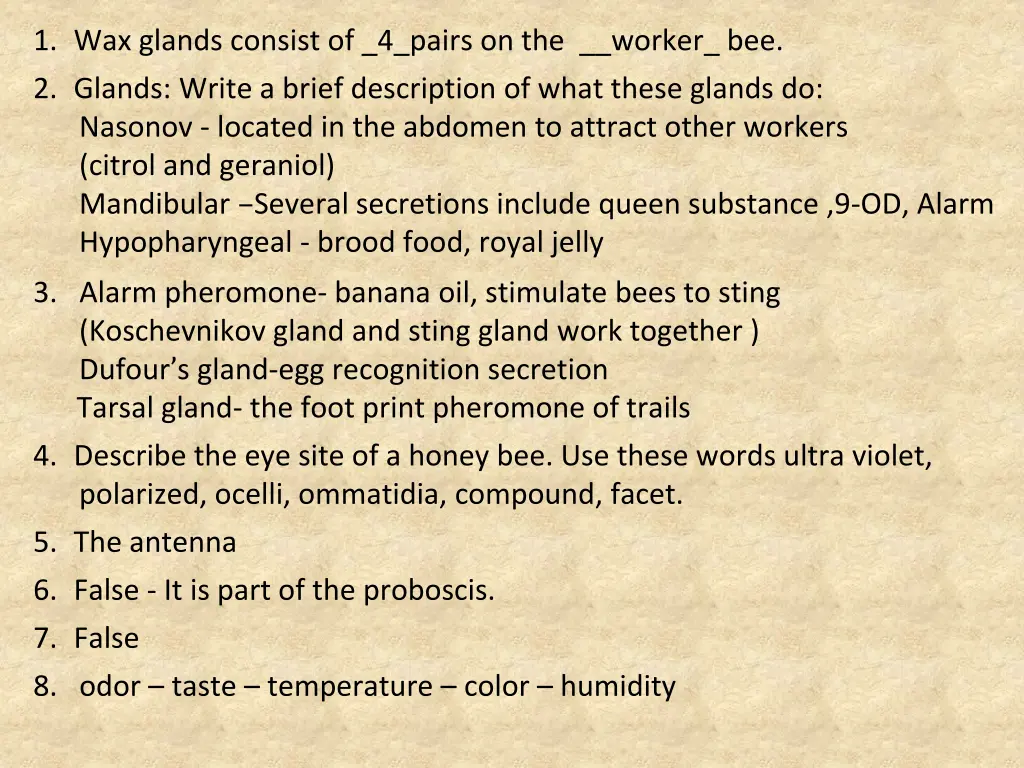1 wax glands consist of 4 pairs on the worker