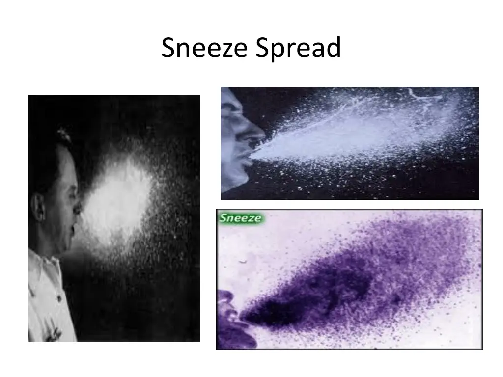 sneeze spread