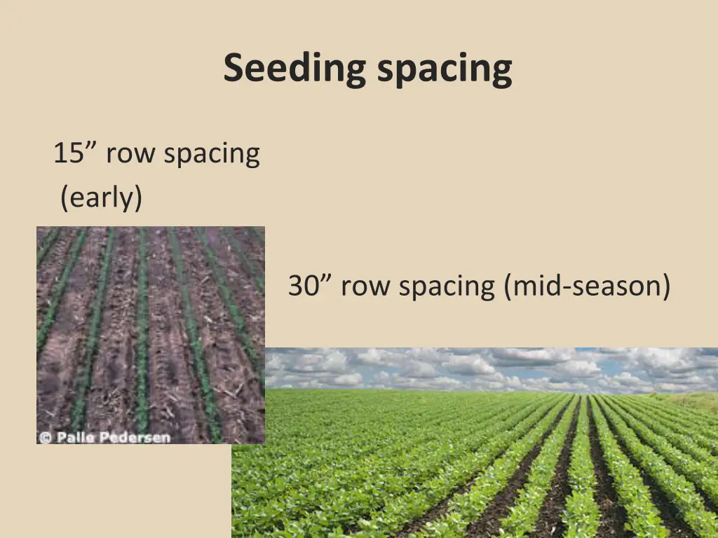 seeding spacing