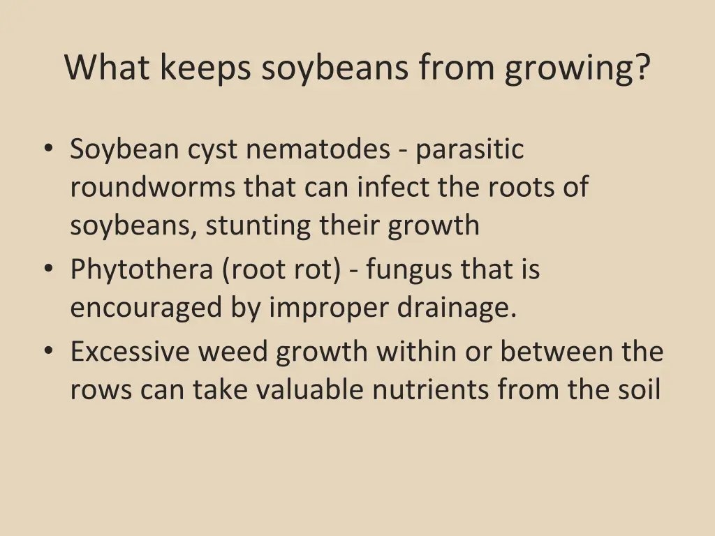 what keeps soybeans from growing