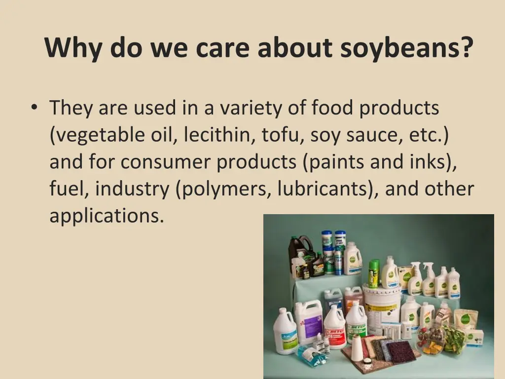 why do we care about soybeans