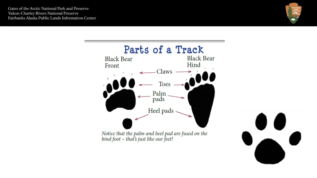 slide3