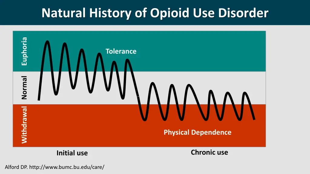 natural history of opioid use disorder