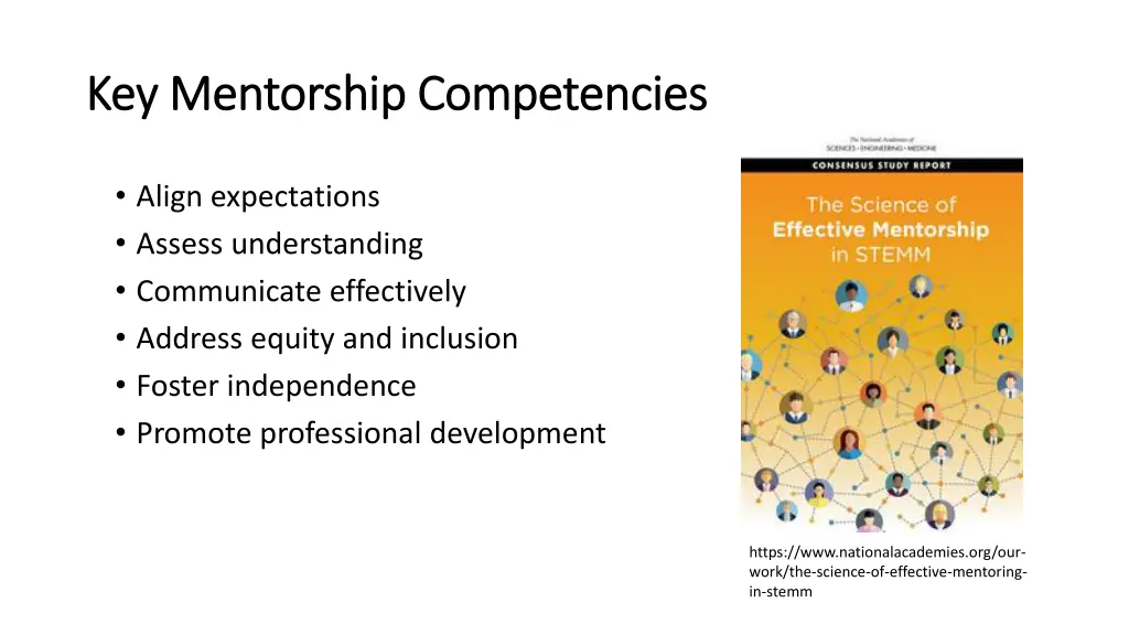 key mentorship competencies key mentorship
