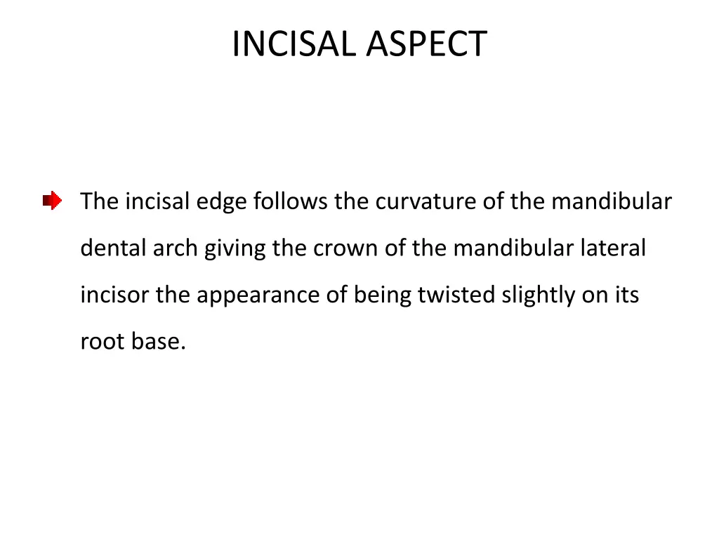 incisal aspect