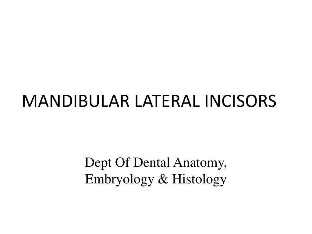 mandibular lateral incisors