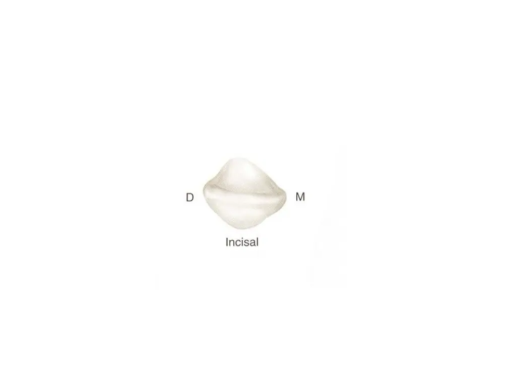 slide10